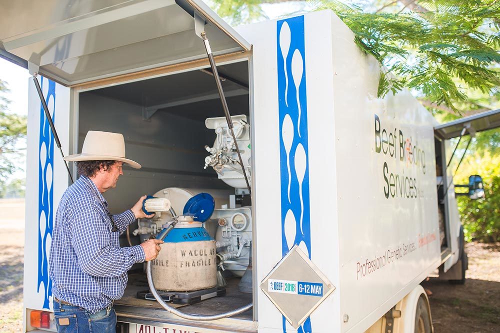 Liquid Nitrogen Beef Breeding Services