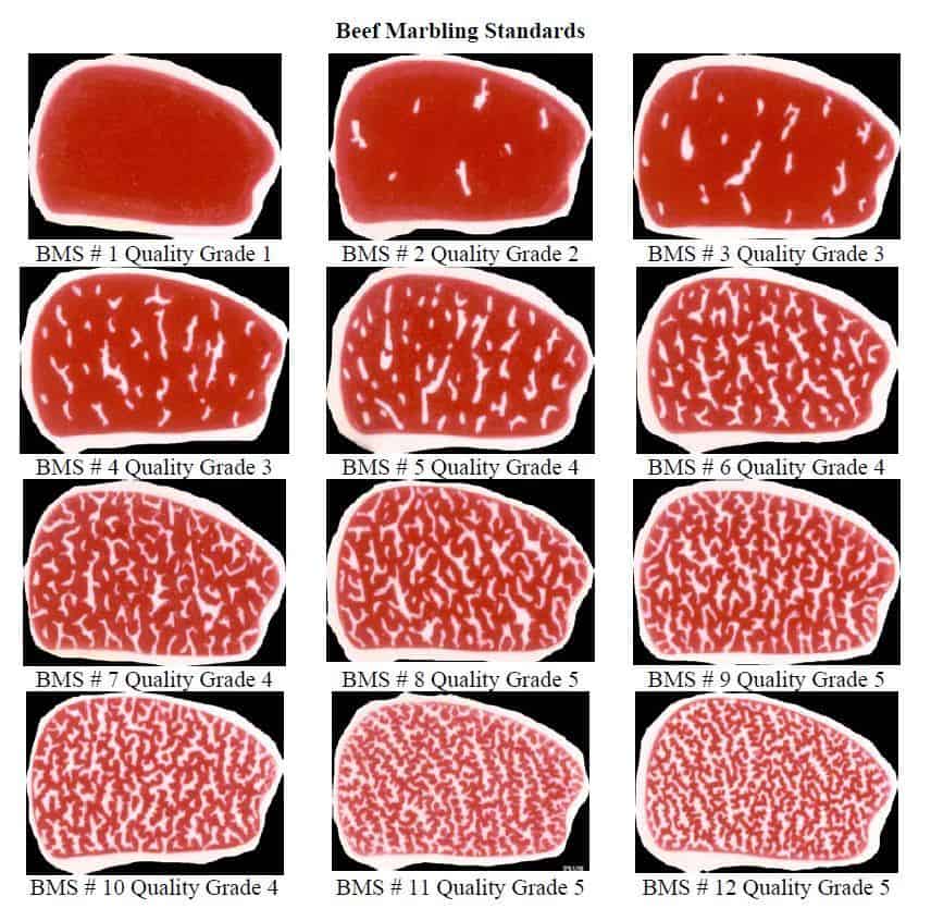 牛肉分級怎麼分？A5、Prime、Choice 一次搞懂