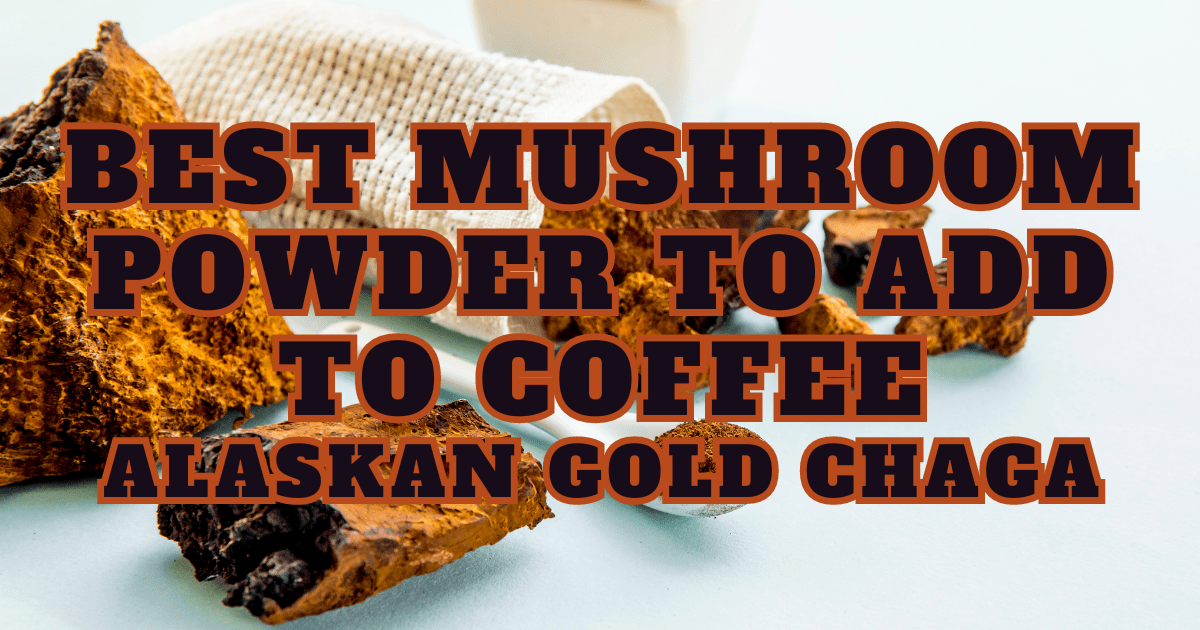 Best Mushroom Powder to Add to Coffee