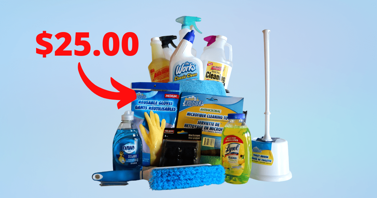 Our 25 Cleaning Kit 💵 Clean Freak Weekly 🧼