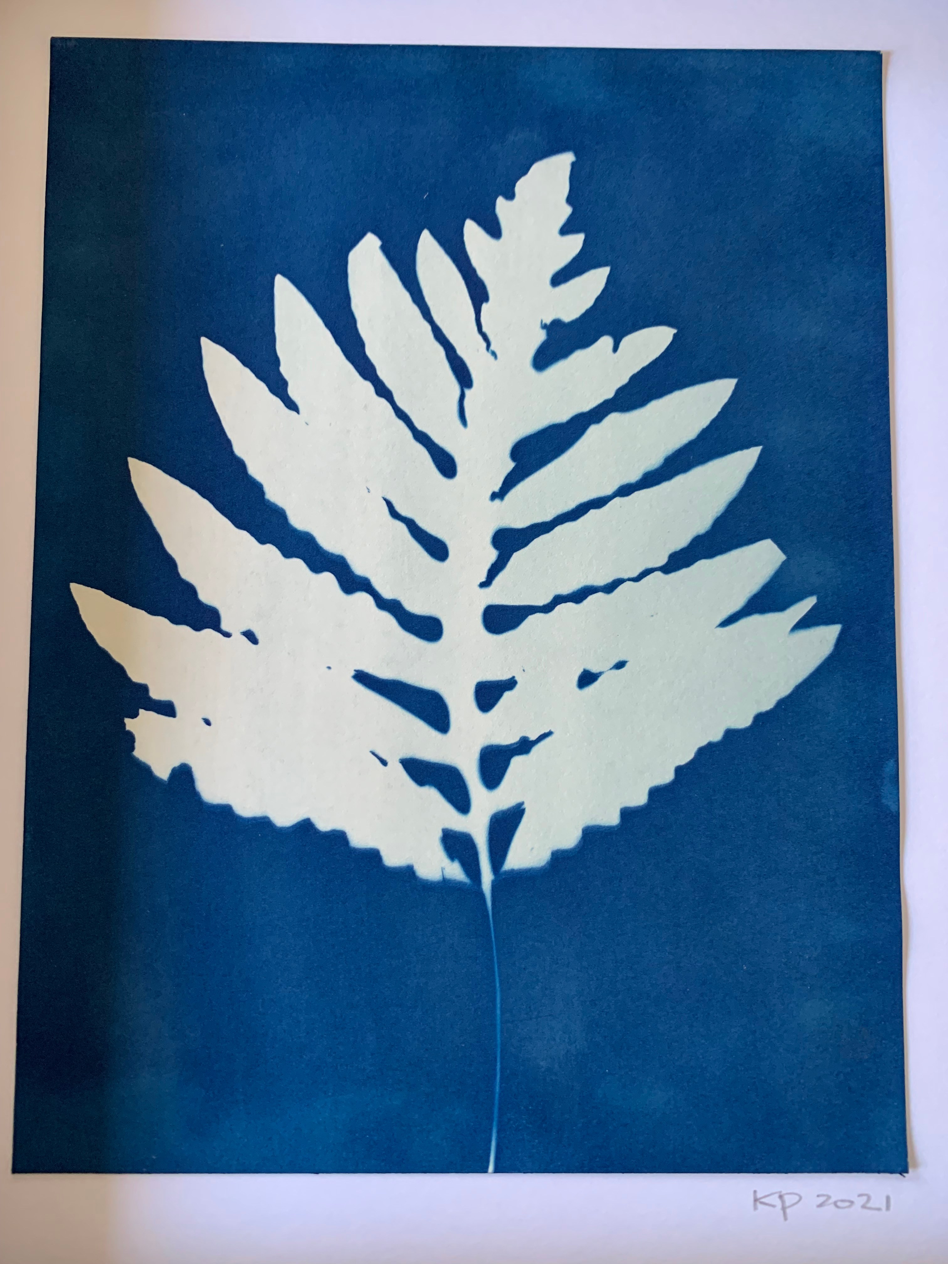Small Fern Print 1 Beehive Art Studio