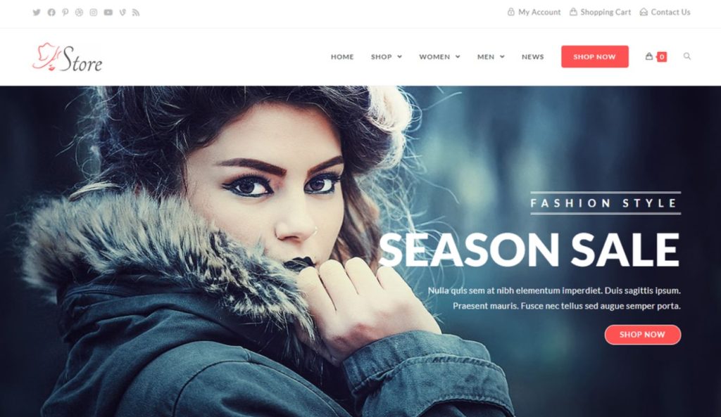 Best Free WordPress Themes