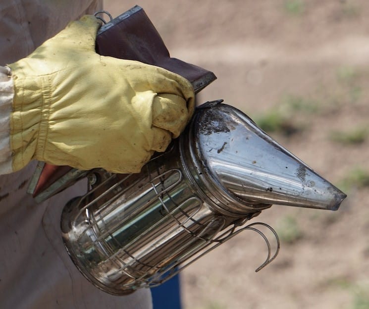 How To Clean Your Beekeeping Equipment Beekeeping 101