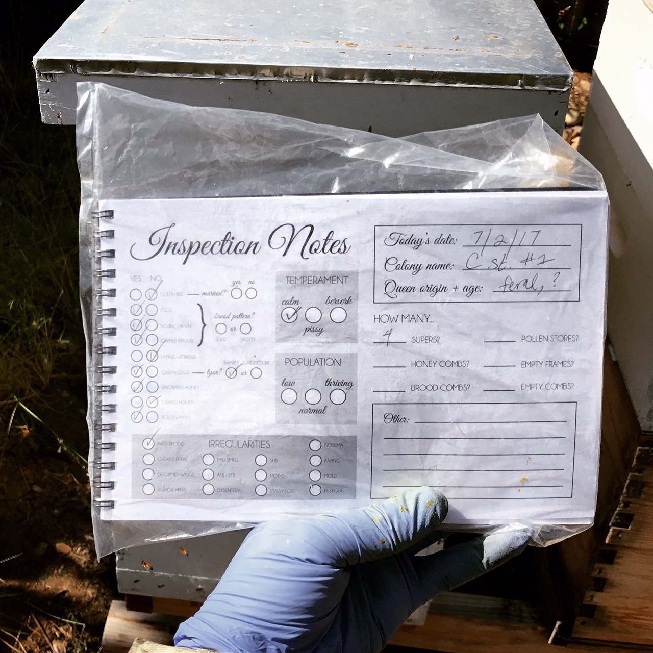 BEEKEEPING LOGBOOK Beekeeping Like A Girl