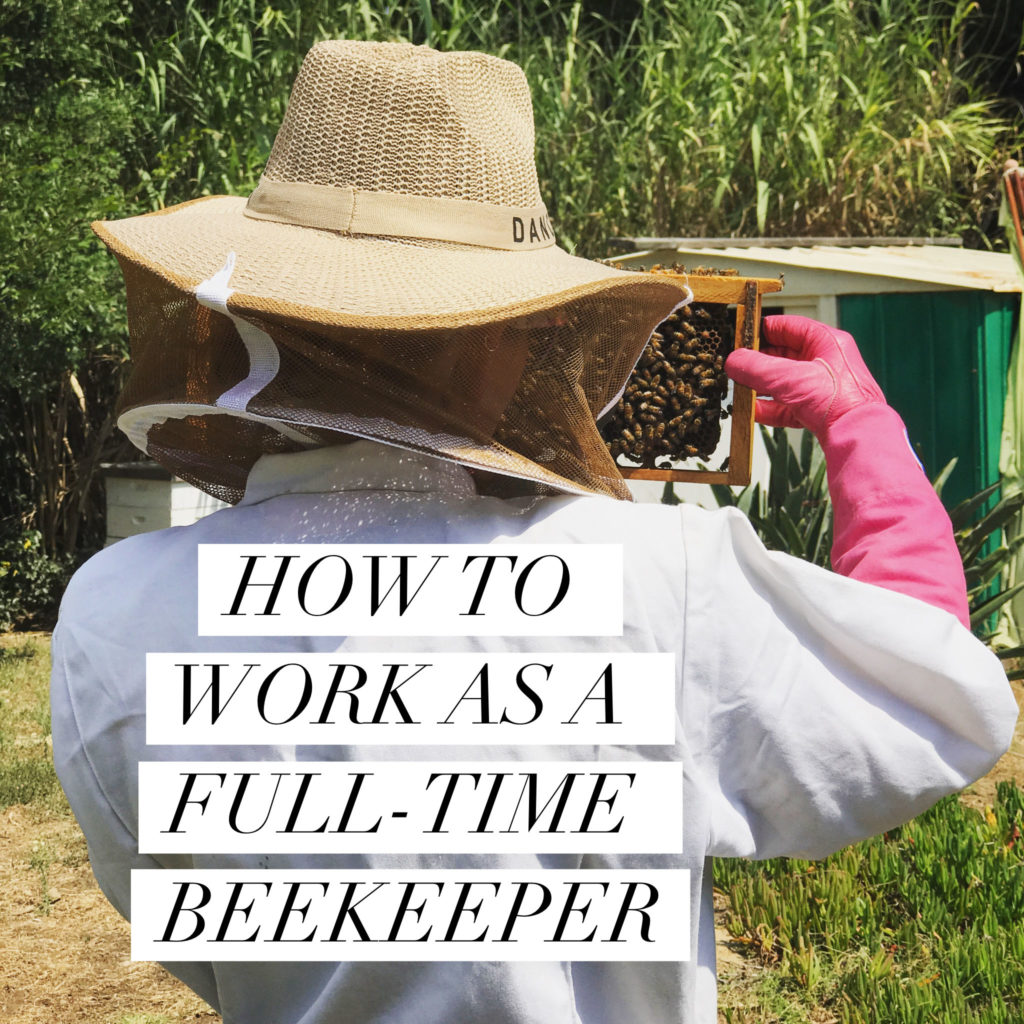 HOW TO WORK AS A FULLTIME BEEKEEPER Beekeeping Like A Girl