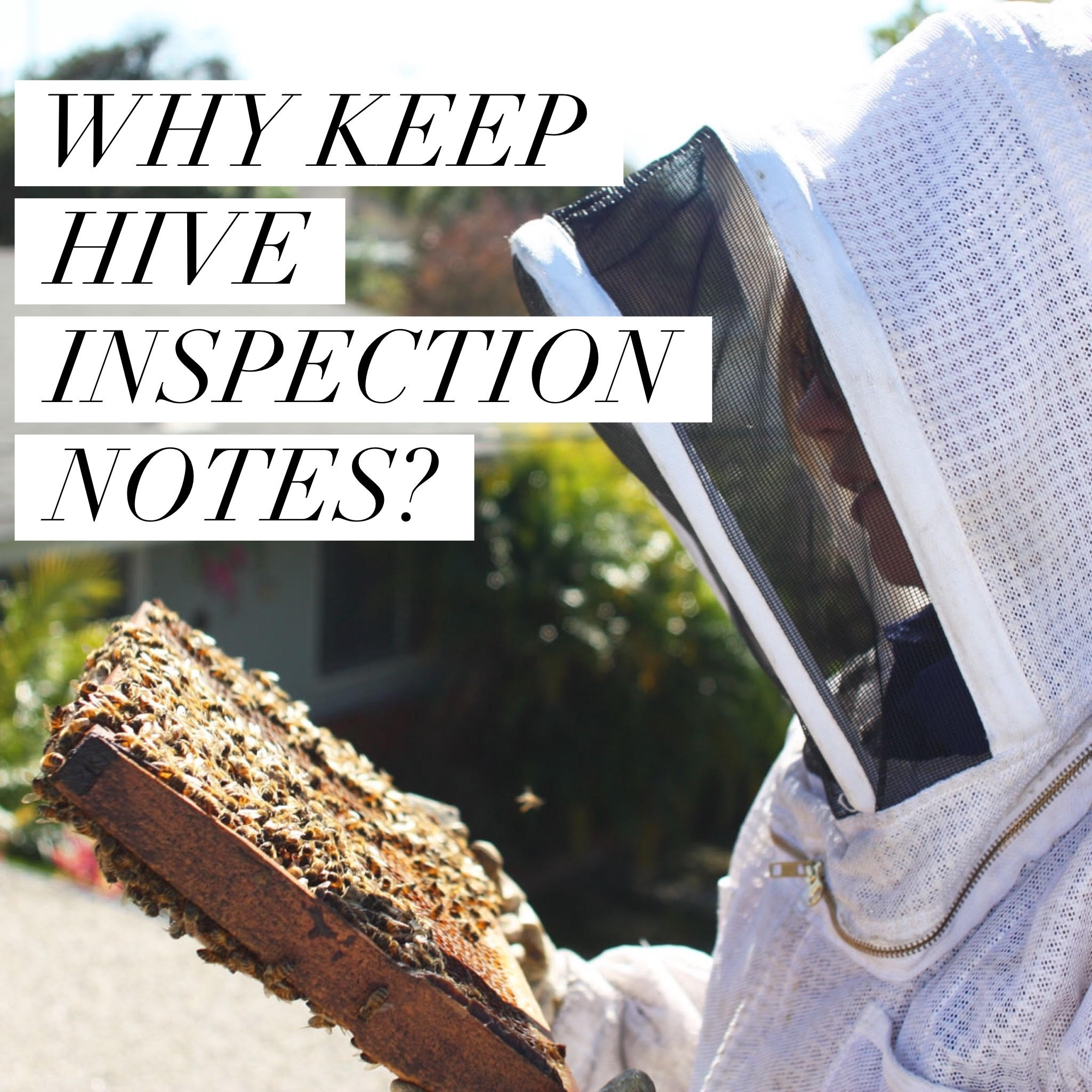 BEEKEEPING LOGBOOK Beekeeping Like A Girl