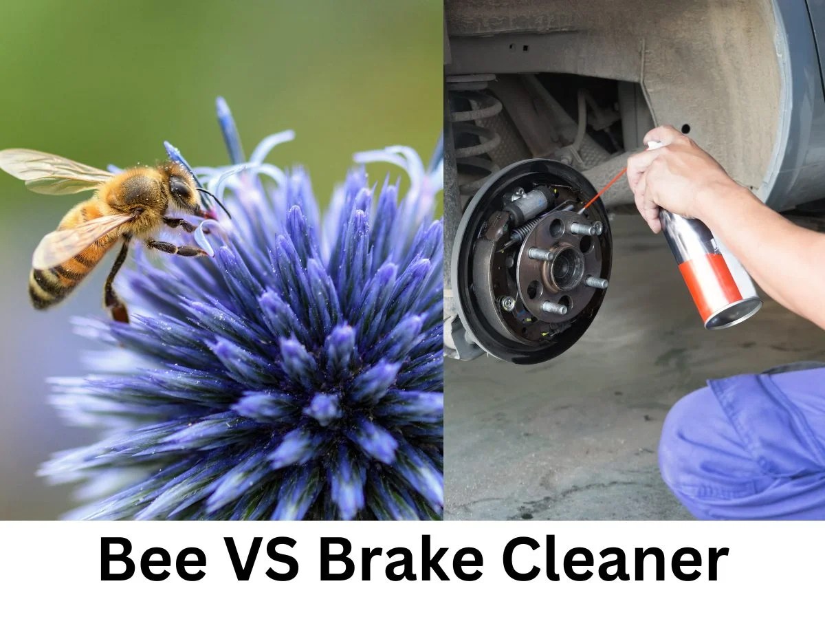 Does Brake Cleaner Kill Bees? Unraveling The Truth Beekeepingstudy