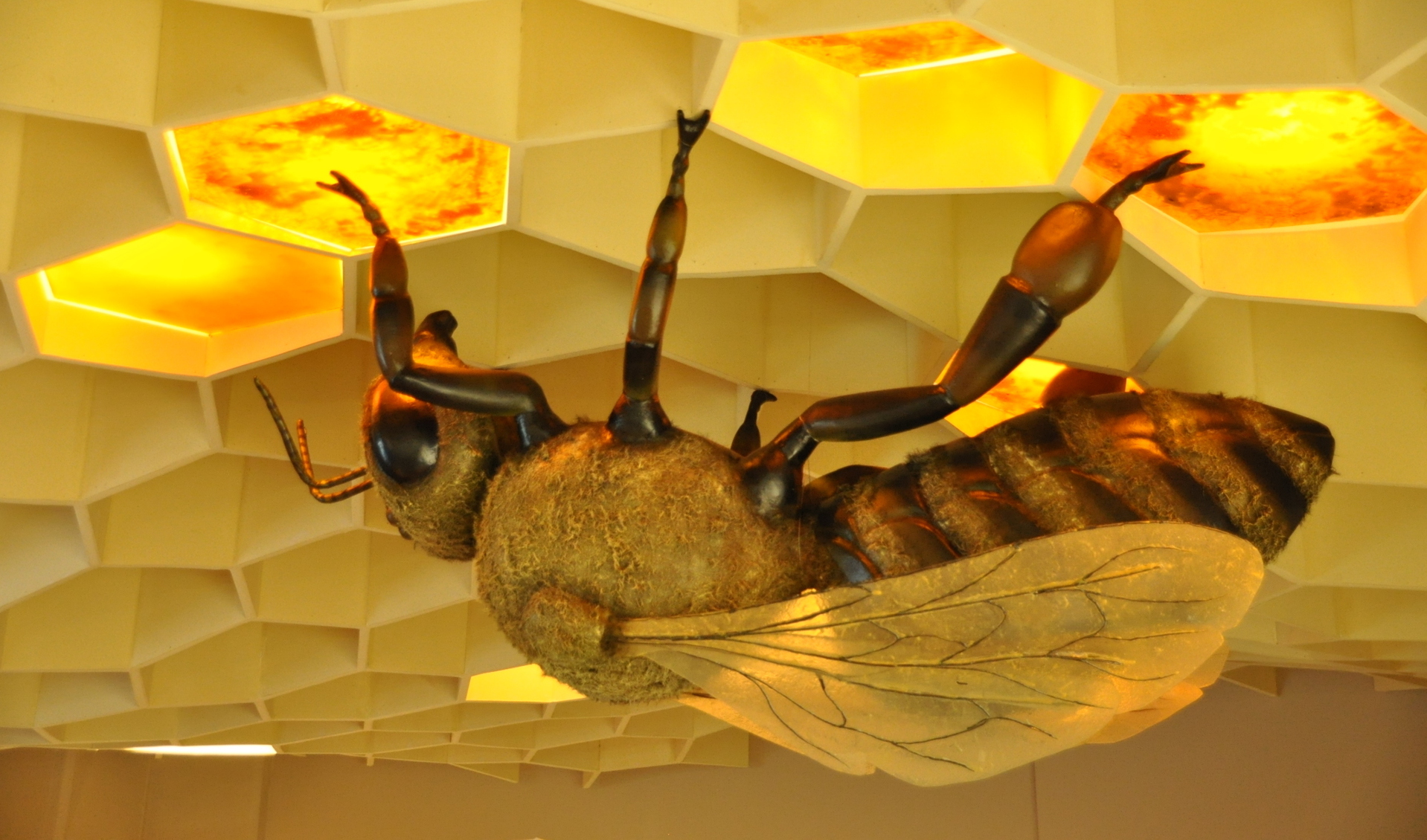 Bee Museum Rhodes Museums Rhodes Sights Rhodes Beekeeping