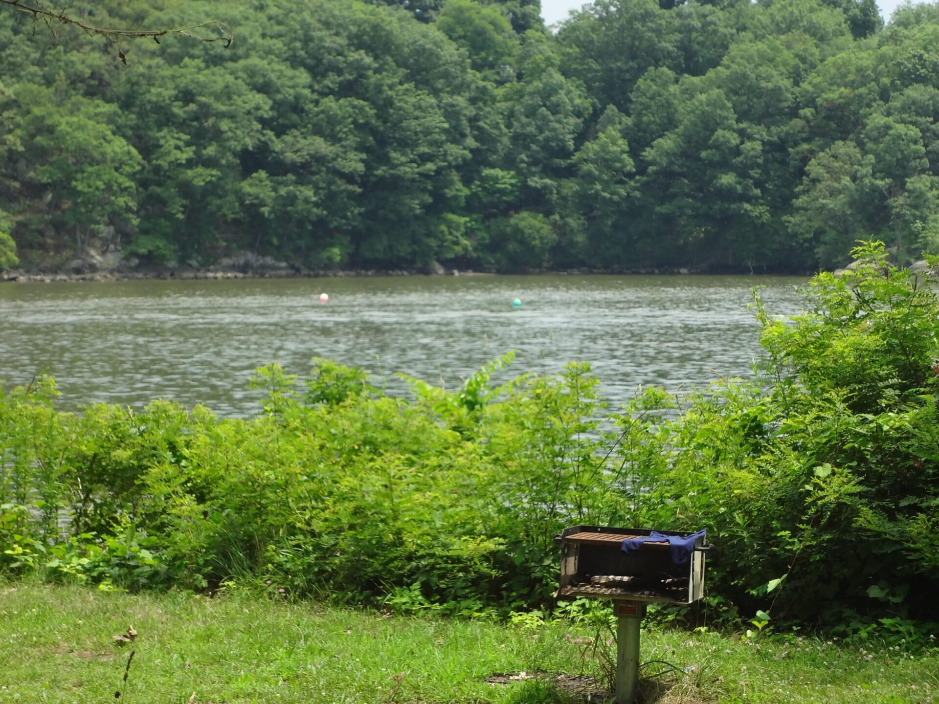 Island Park Montrose, NY Been There Done That Trips