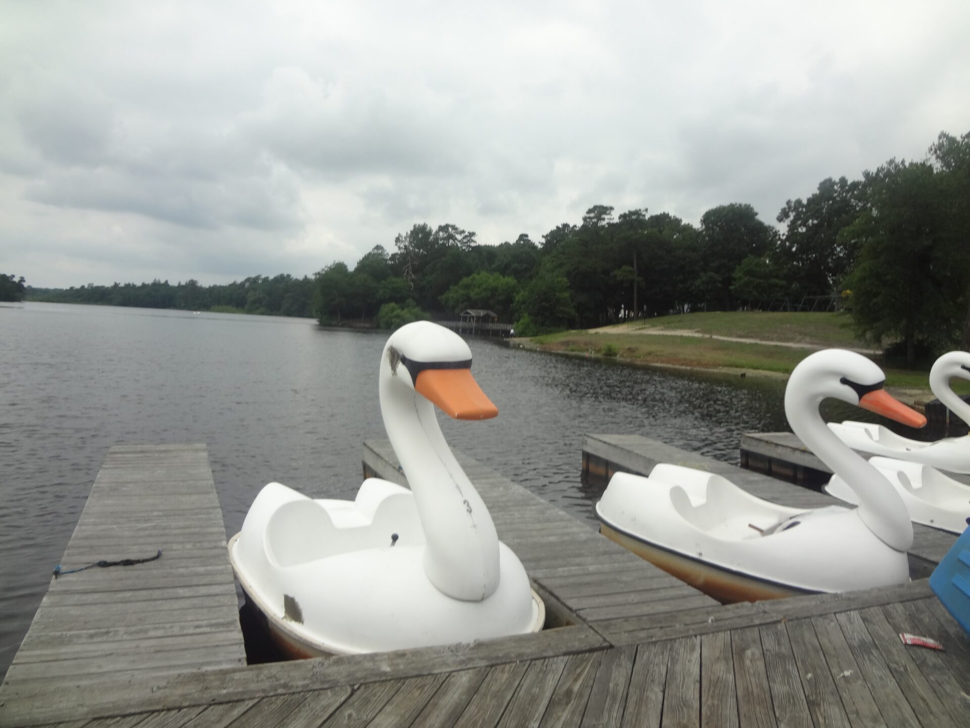 Traveling Tykes Paddle Boat RentalsCarasaljo Lake Lakewood, NJ Been