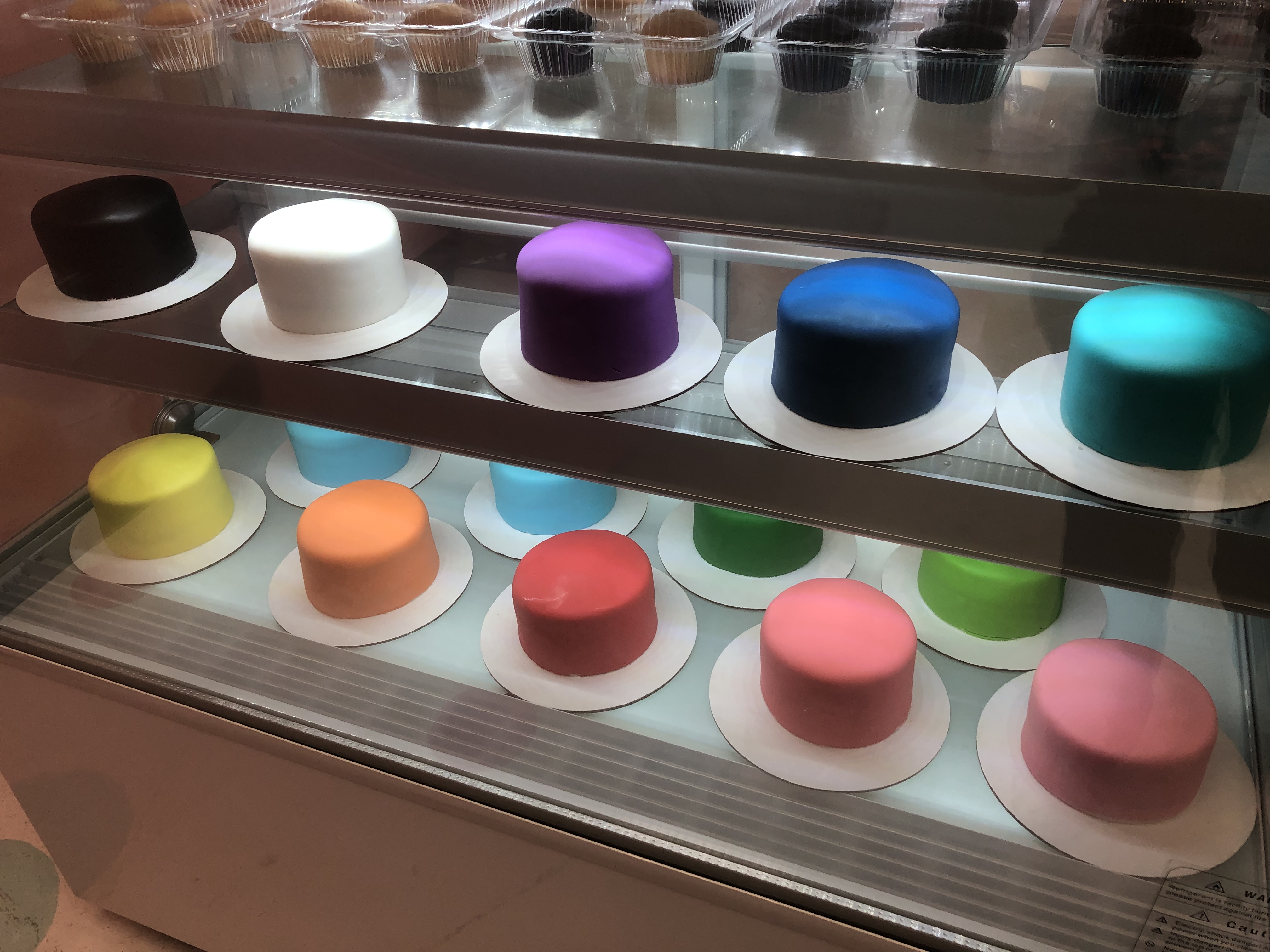 Cake Case Been There Done That with Kids