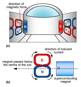 Magnetic Levitation (Maglev) Train – Bee Others