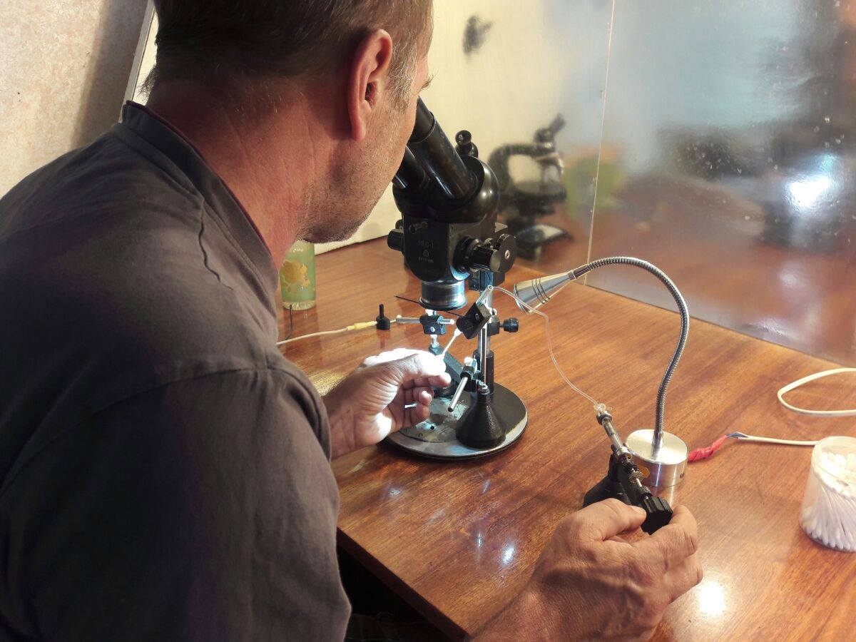 Instrumental insemination of queen bees