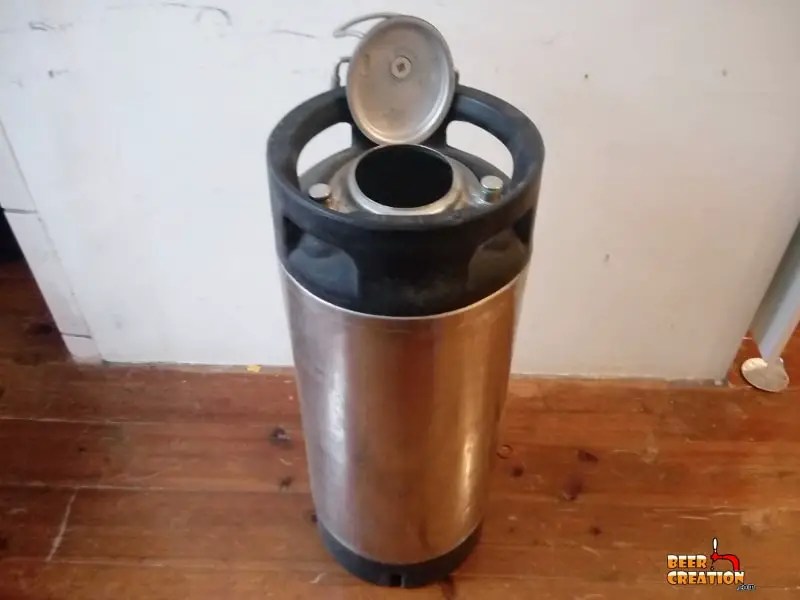 Do I REALLY Need To Sanitize My Corny Keg?