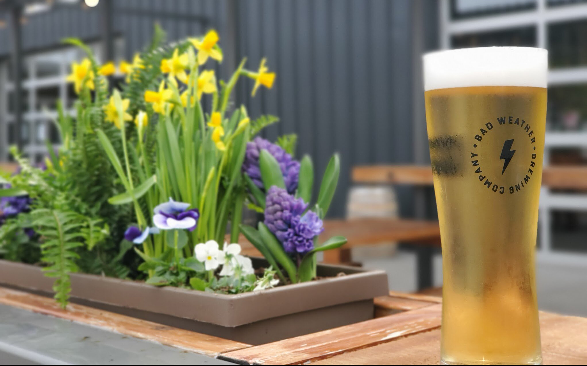 10 MustTry Beers and Ciders This Friday at the Beer Paddler Riverboat