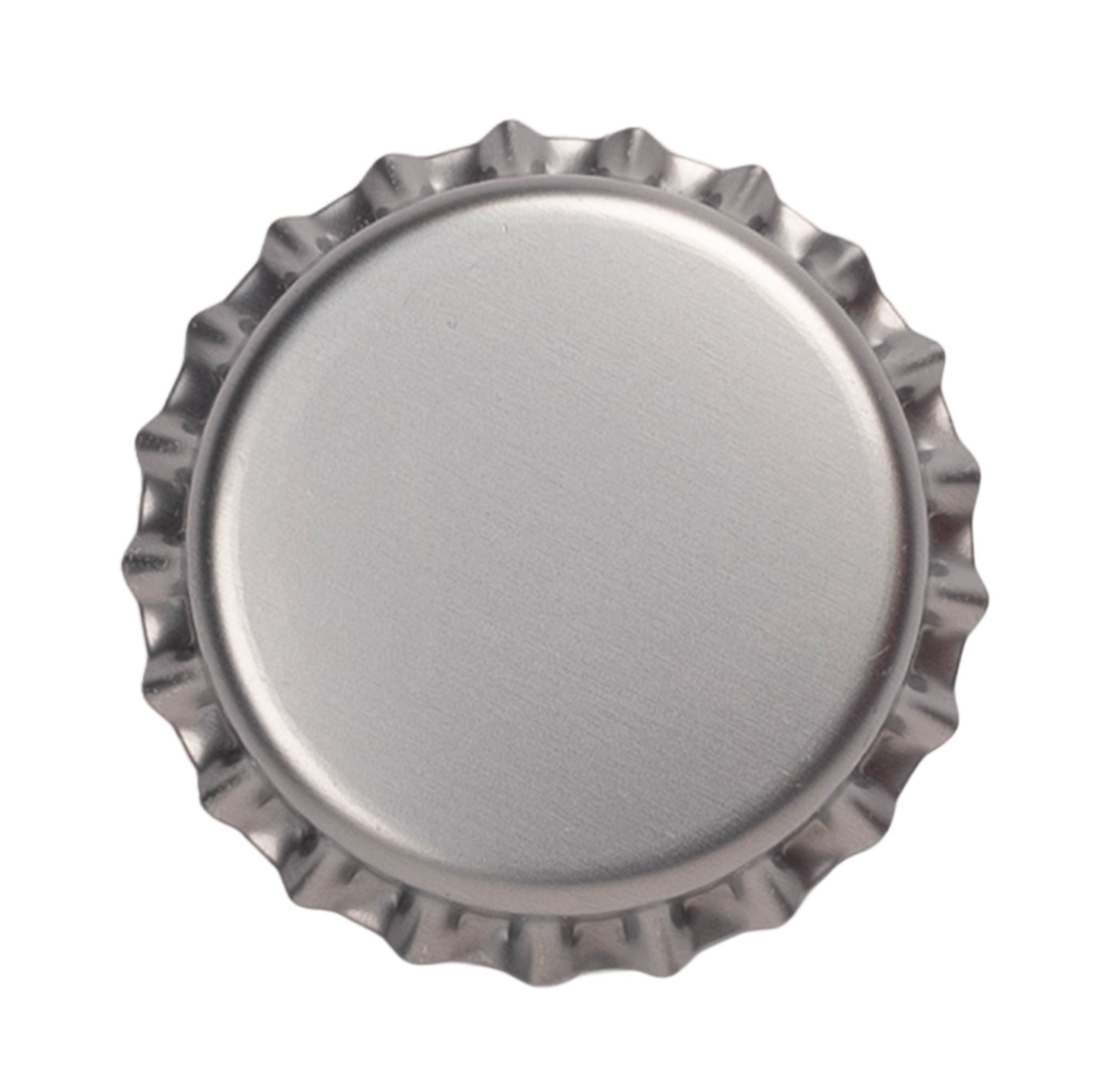 Bottle Caps (Silver2520) BeerGuevara