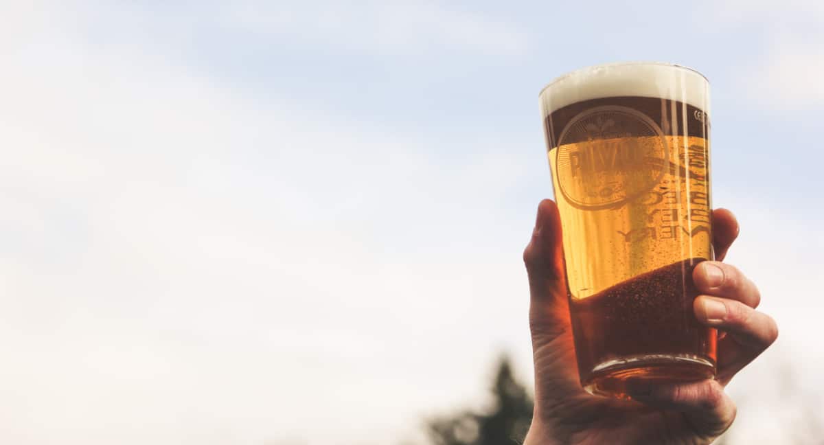 Every Single Way to Clarify Your Homebrew Explained Beer Maverick