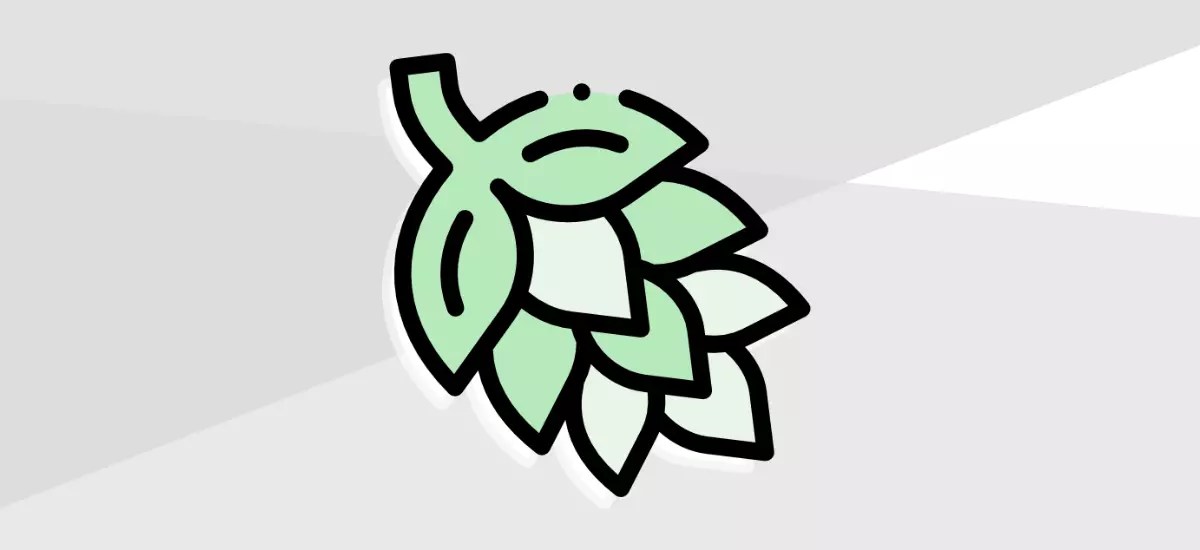 Riwaka Hops Substitution, Flavor, Aroma Beer Maverick