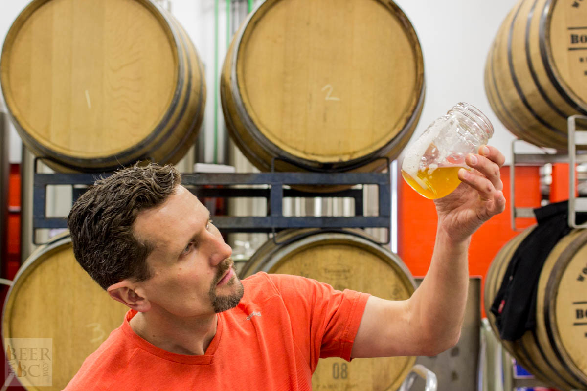 Victoria Beer Week 2016 Homebrewing at Category 12 Brewing