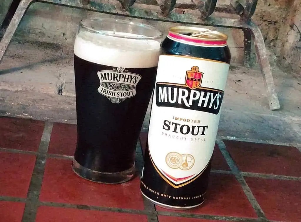 The Best Irish Stout Beers You Should Try Next in 2022 Beertannica
