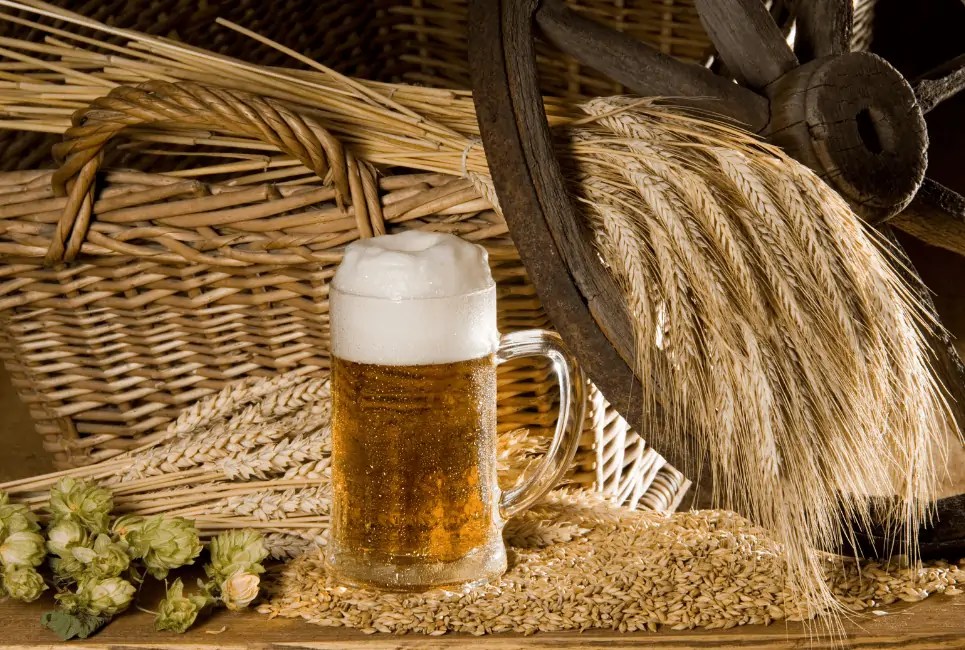 Crystal Malt Guide How to Brew Beer with Crystal Malts? Beertannica