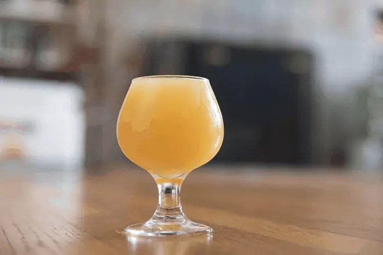 Sloop's Juice Bomb IPA Review Love it or Leave it Beertannica