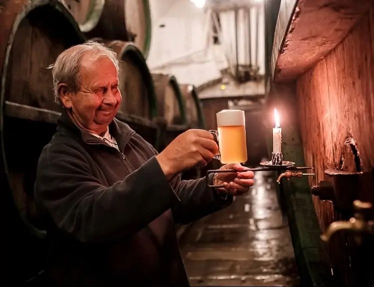 Pilsner Guide What is a Pils Beertannica