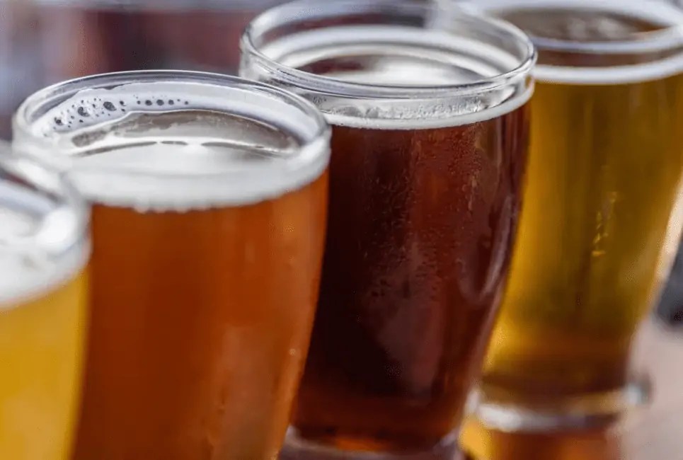 Motueka Hops Guide Everything You Need to Know Beertannica