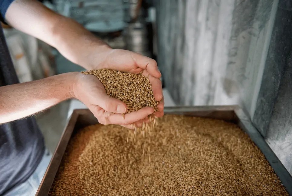 Acidulated Malt Guide How Does It Improve Your Brews? Beertannica