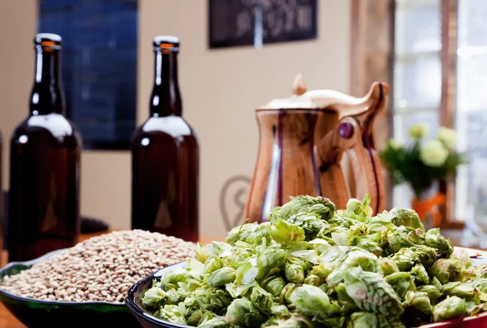 Types of Brewing Malts Guide Everything You Need to Know Beertannica