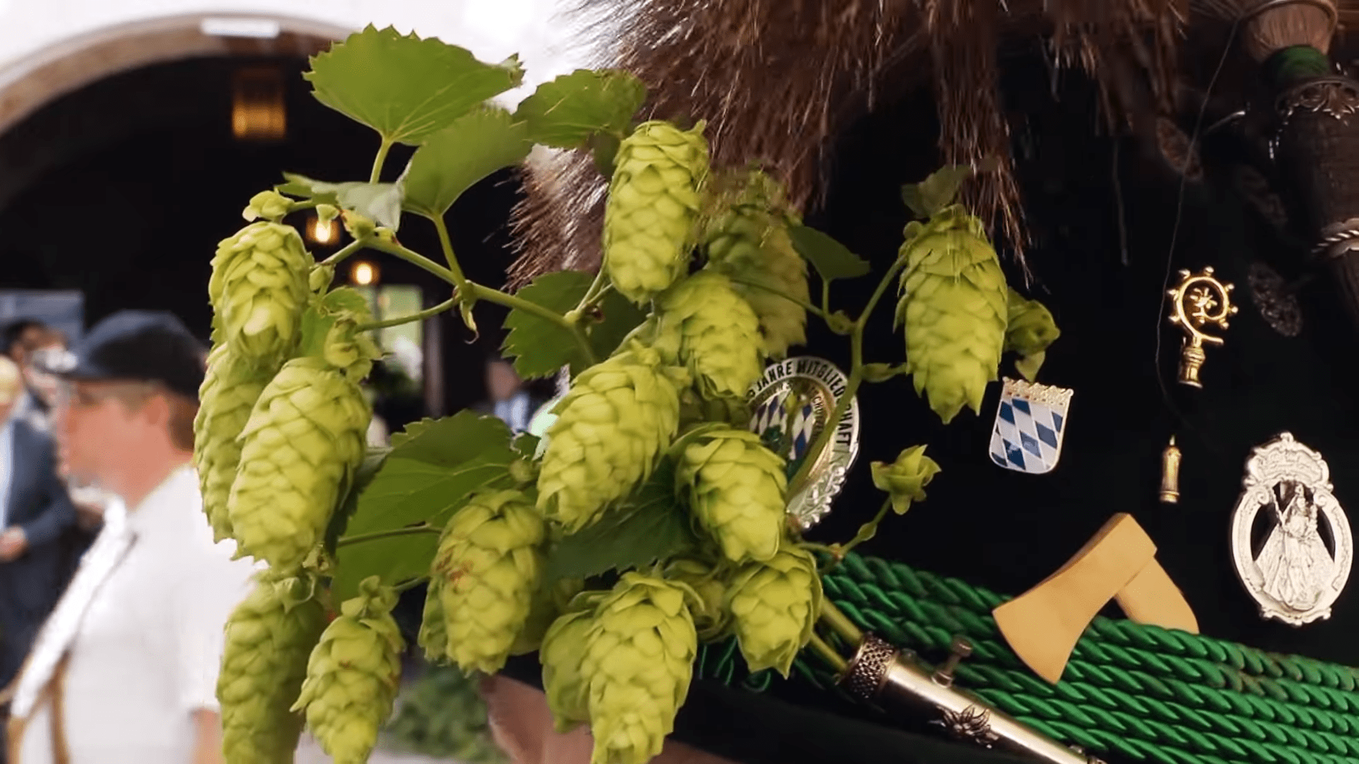 Hallertau Hops Guide Beertannica