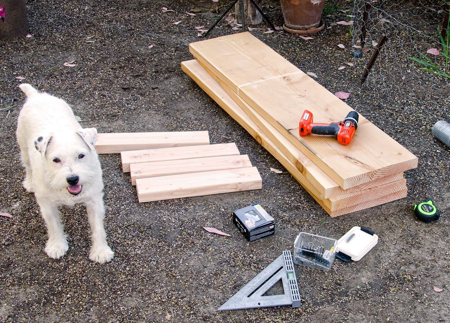 Tuesday’s Tips — EasytoBuild Raised Bed Bees and Chicks