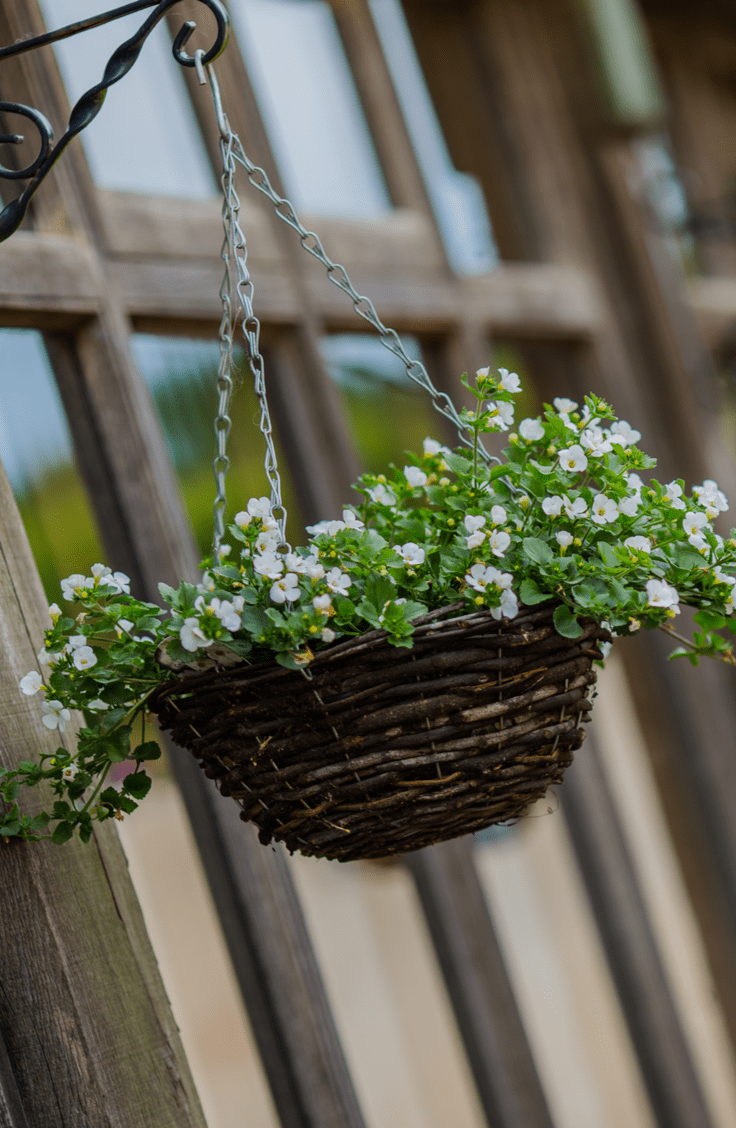 Hanging Planter Ideas Outdoor, Strawberries, Indoor, DIY Outdoor DIY