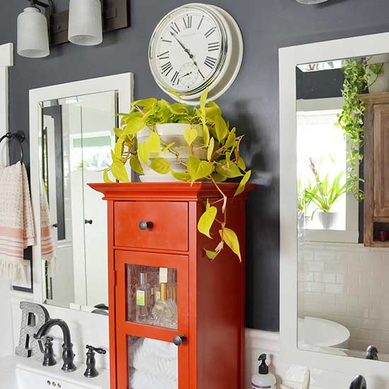 11 Easy to Grow Bathroom Plants Page 2 of 13 Bees and Roses