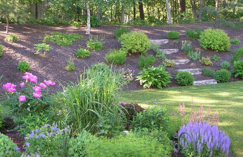 10 Landscape Ideas for Sloped Yard Spaces Bees and Roses
