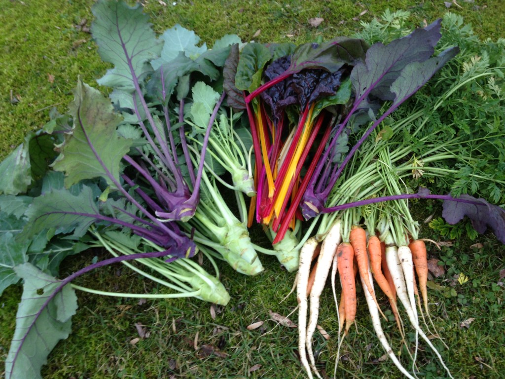 10 Cold Hardy Crops (Based on Grow Zone) Bees and Roses