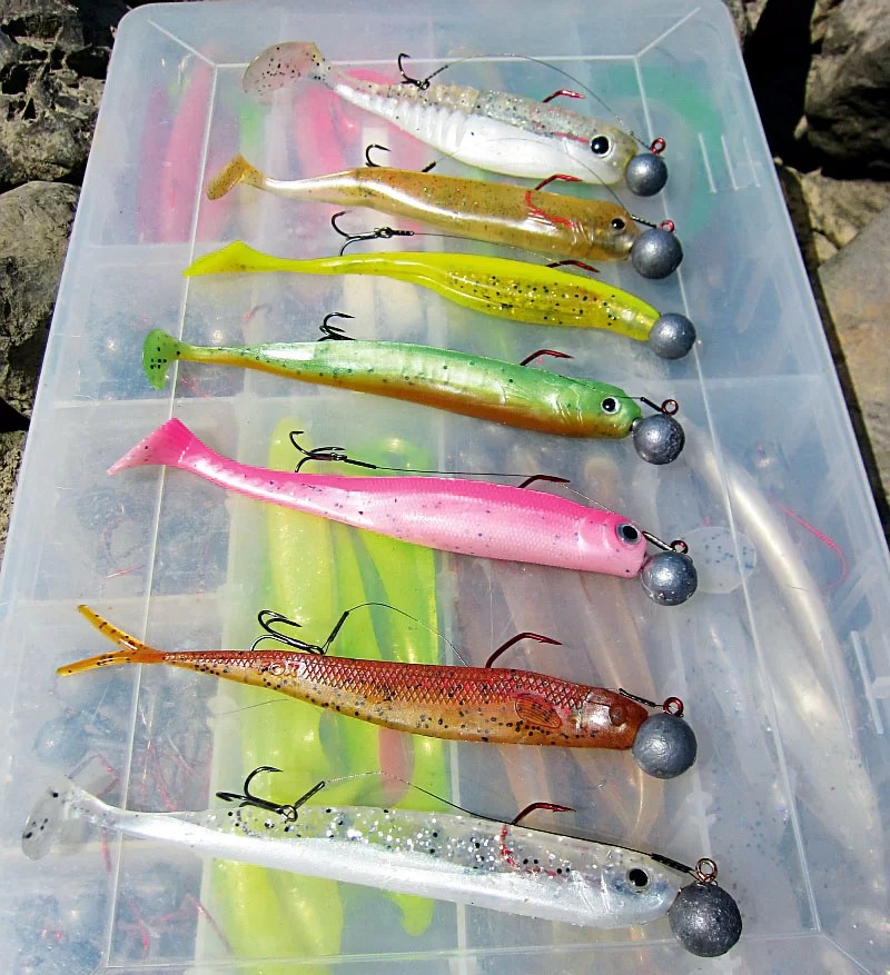 Snoekbaars Vissen Vanaf De Kant - 10 Tips - Beet Magazine
