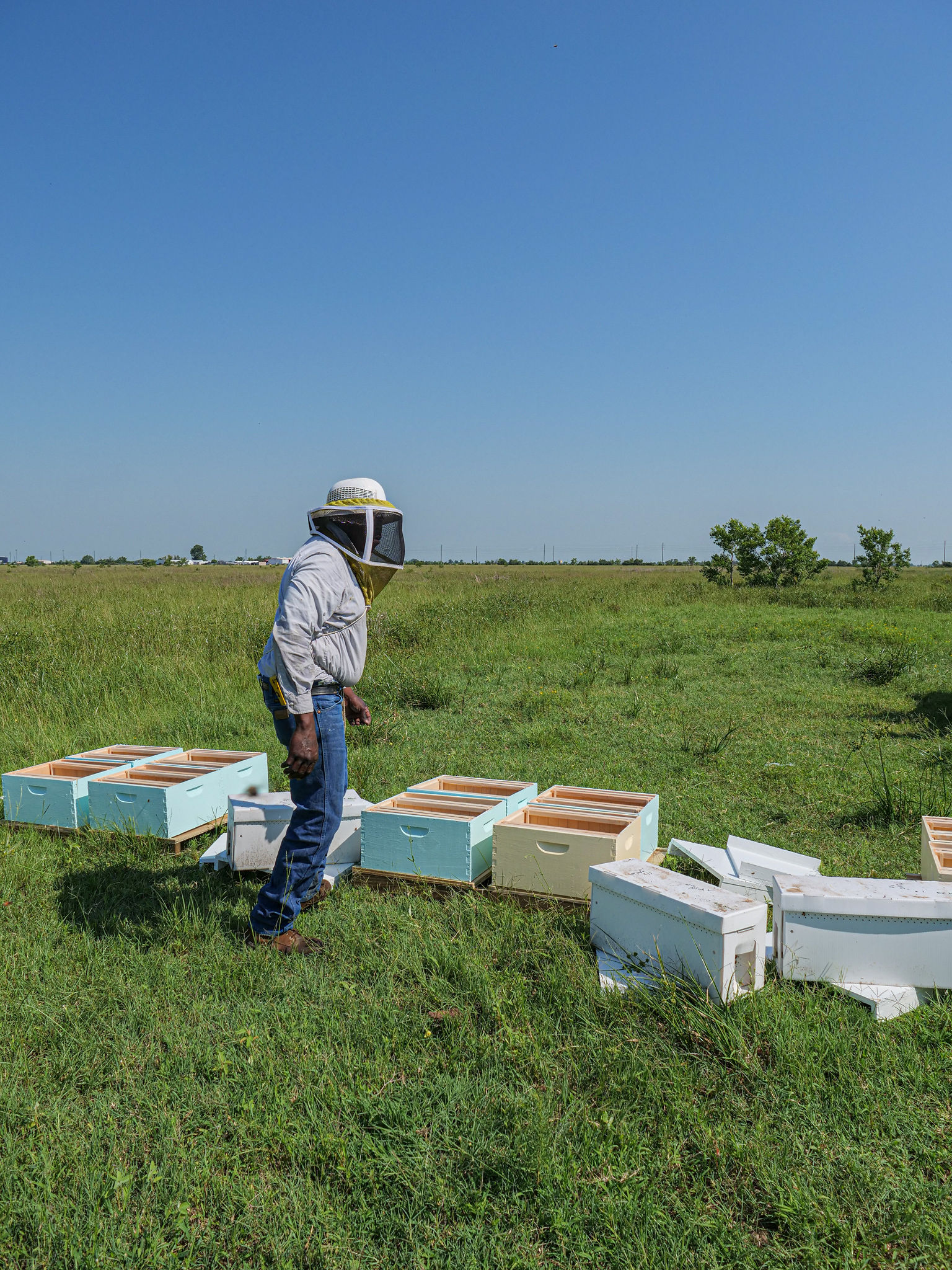 property taxes BeeWeaver Honey Farm