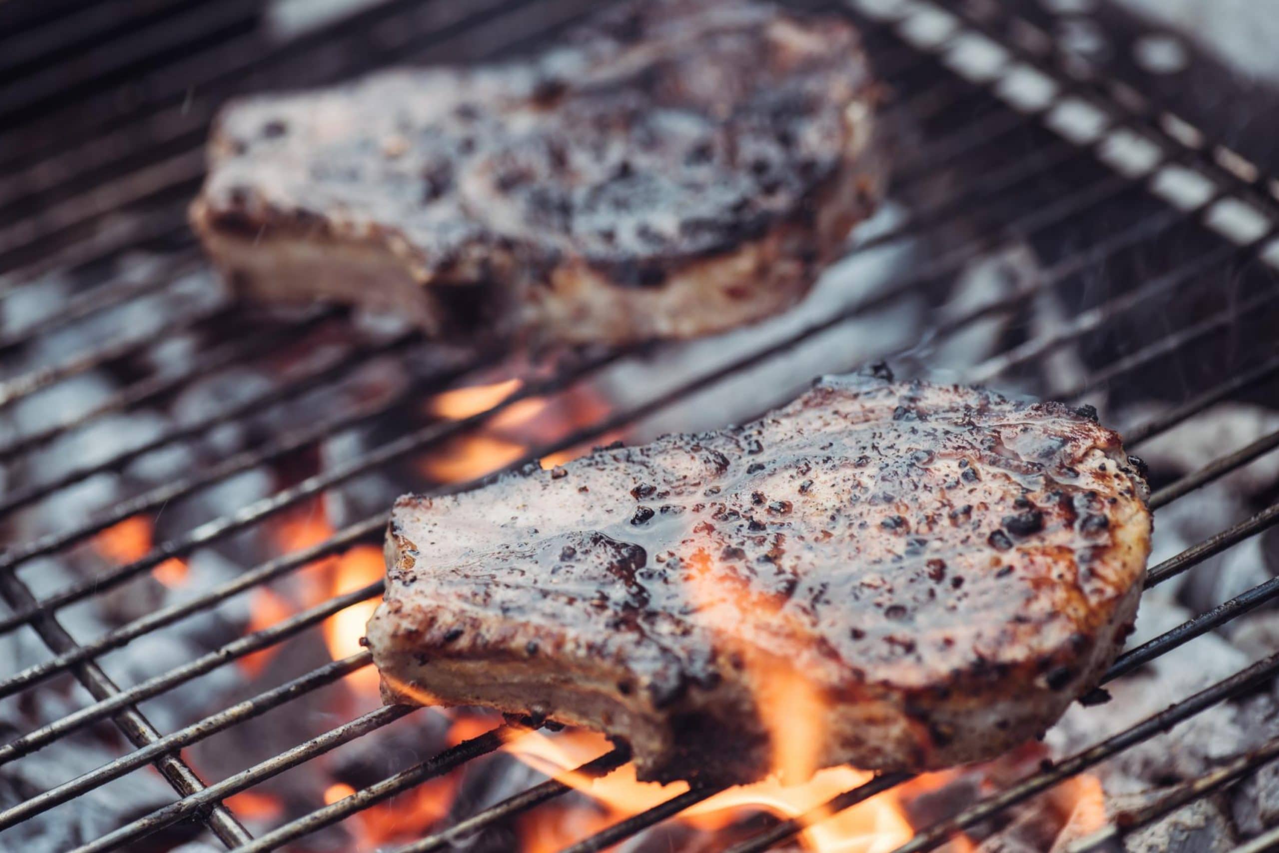 Can You Use a Propane Grill Indoors? Detailed Guide Beezzly