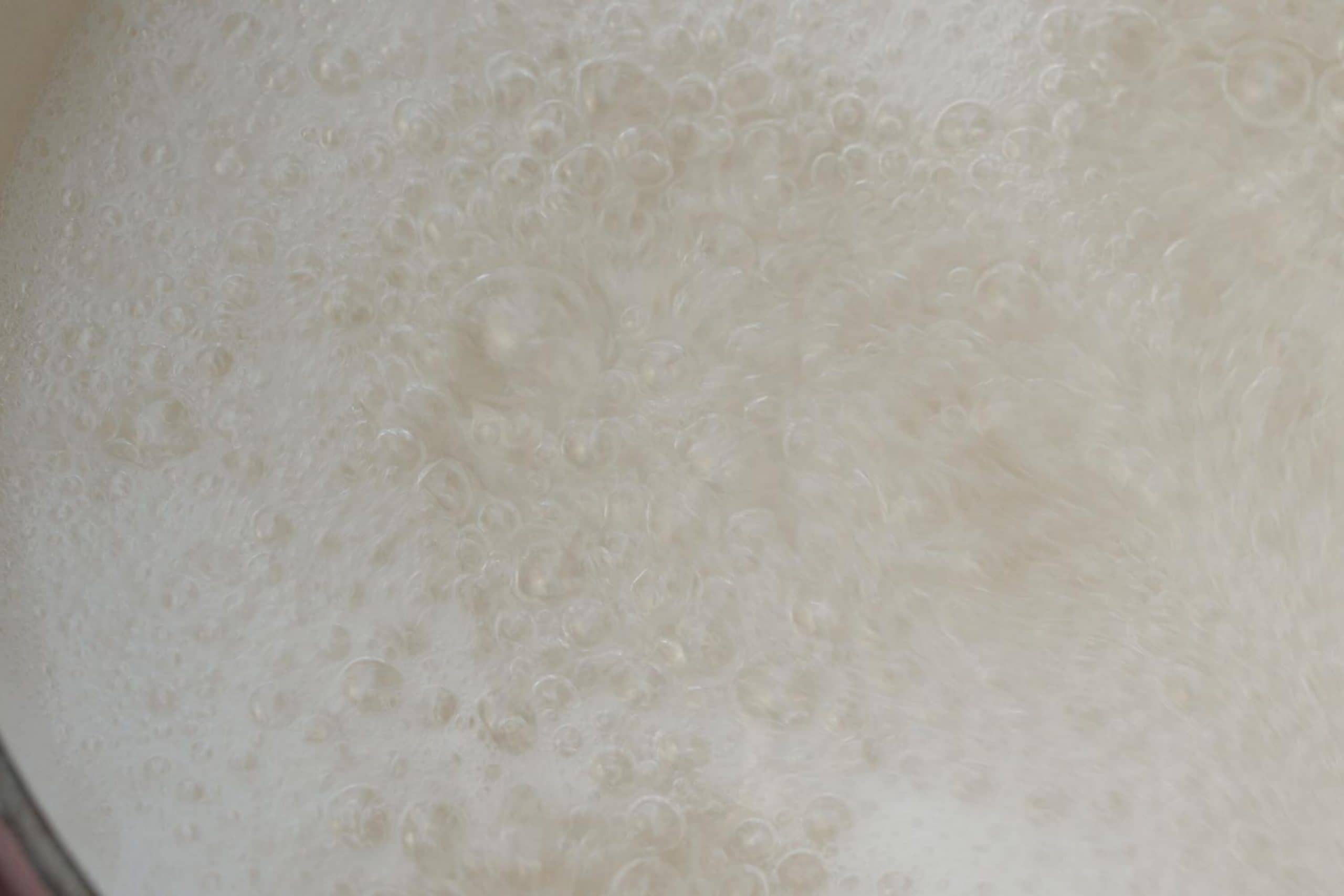 How to Boil Water In Instant Pot? Detailed Guide Beezzly