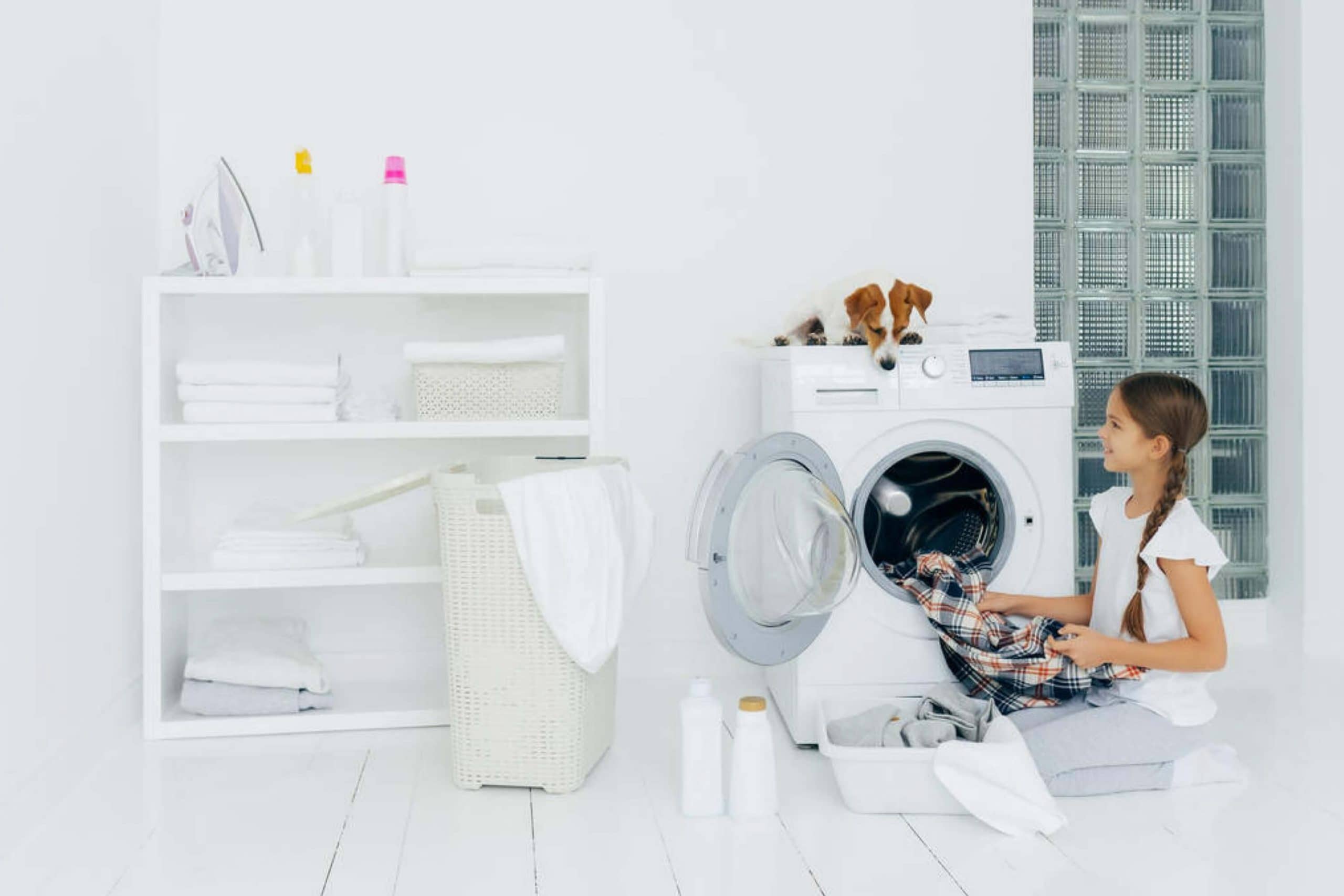 Why Does My Laundry Room Smell? Detailed Guide Beezzly