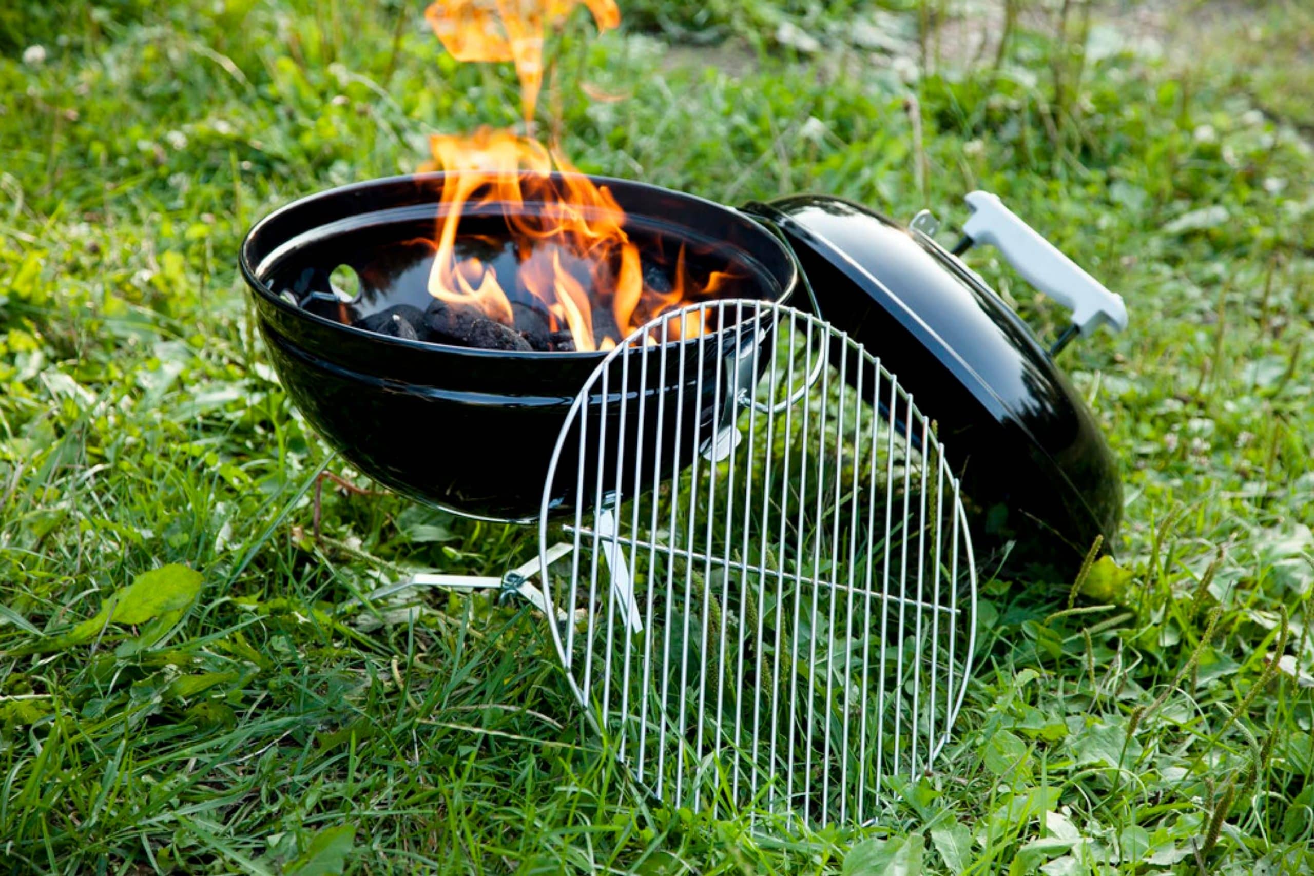 How to Keep Mice Out Of Grill? 5+ Prevention Tips