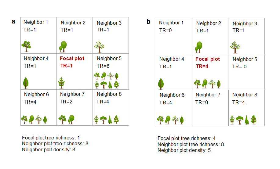 Differential impacts on herbivore diversity and scaledependence of