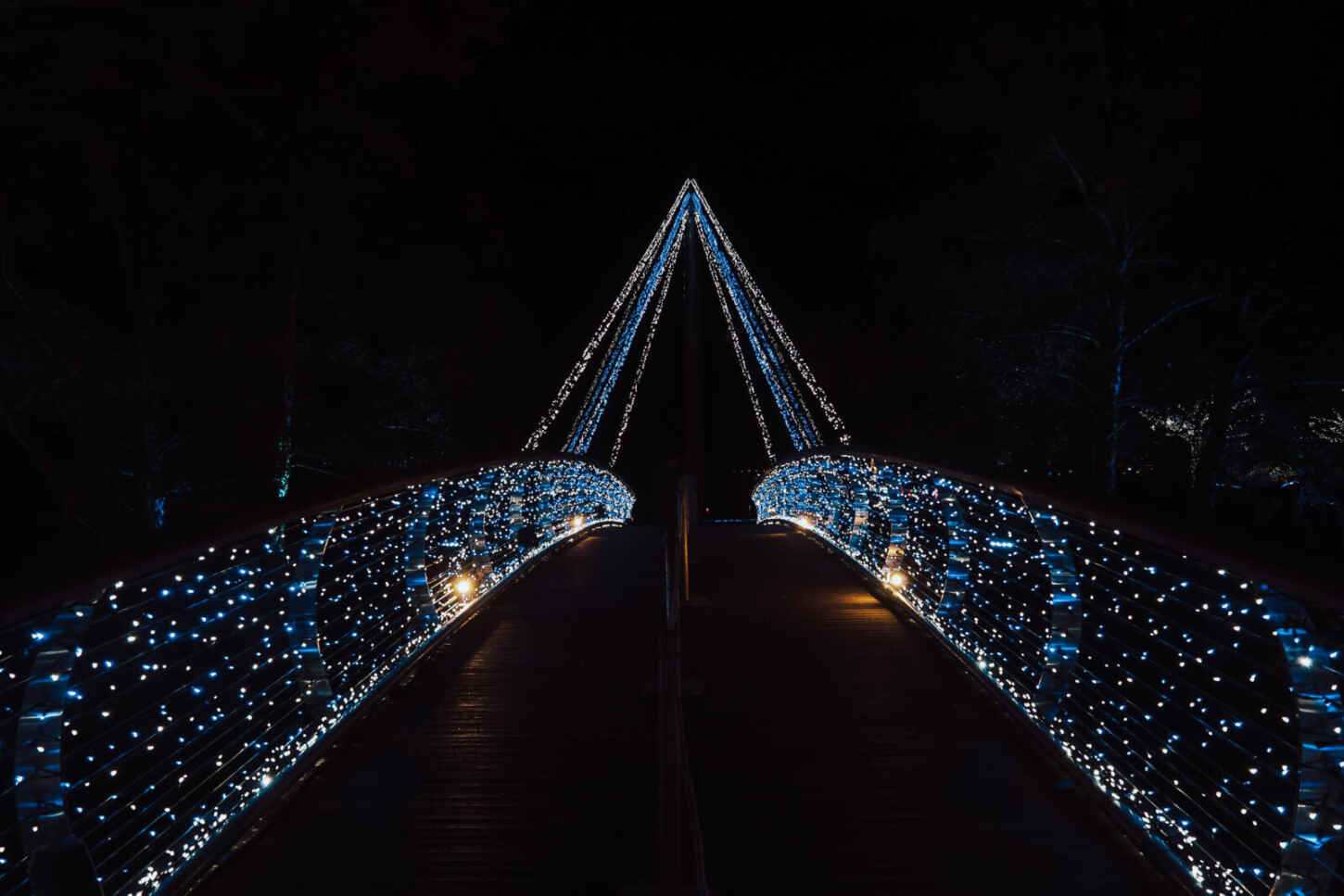 Inside Christmas at Trentham light trail a totally magical experience for all the family