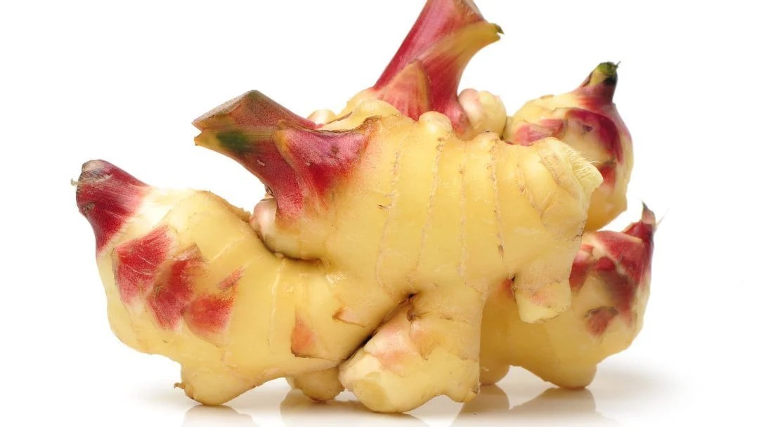 Ginger For Cough The Surprising Remedy That Actually Works!