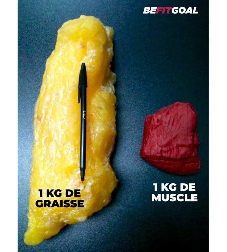 1kg De Gras Vs 1kg De Muscle Communauté MCMS