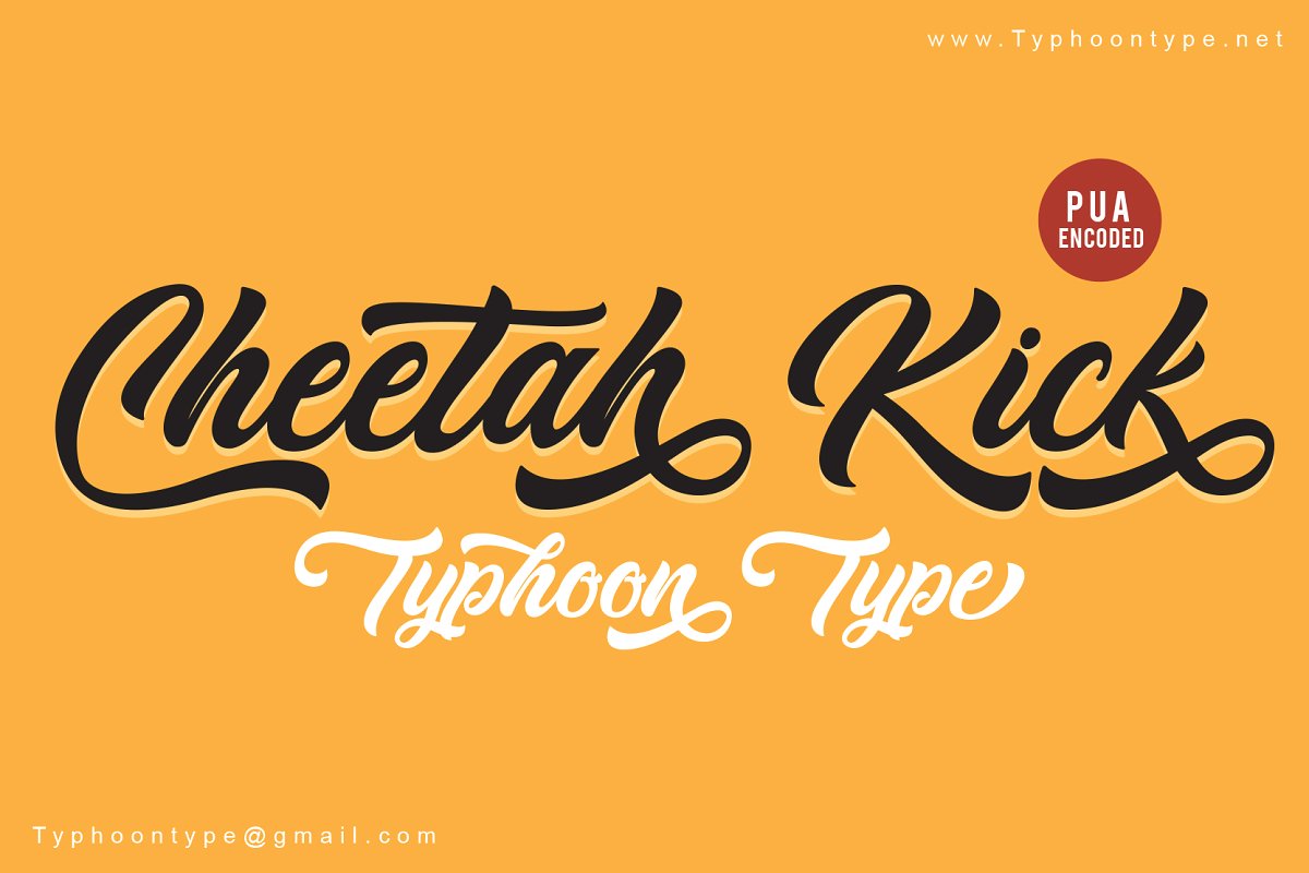 Cheetah Kick Script Font