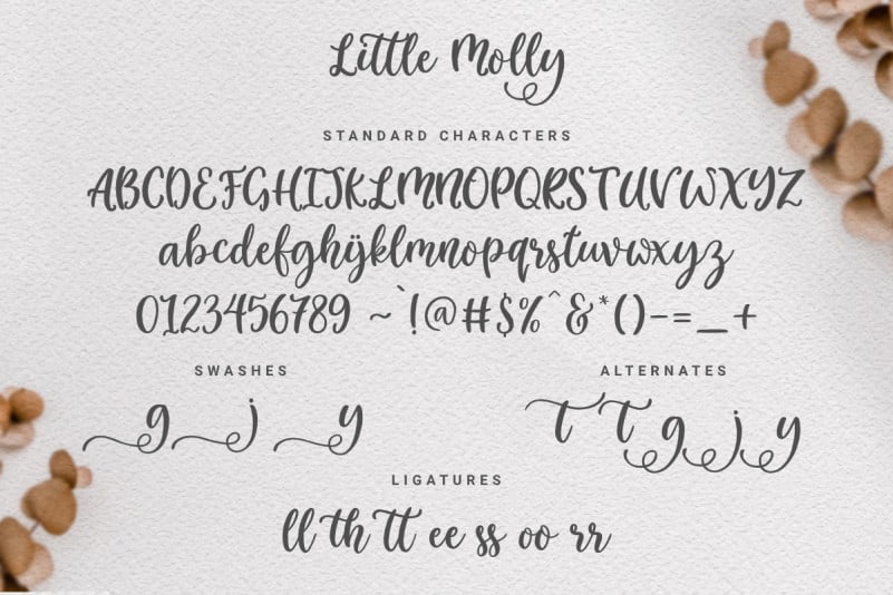 Download taylor script swash font - lasopaforsale