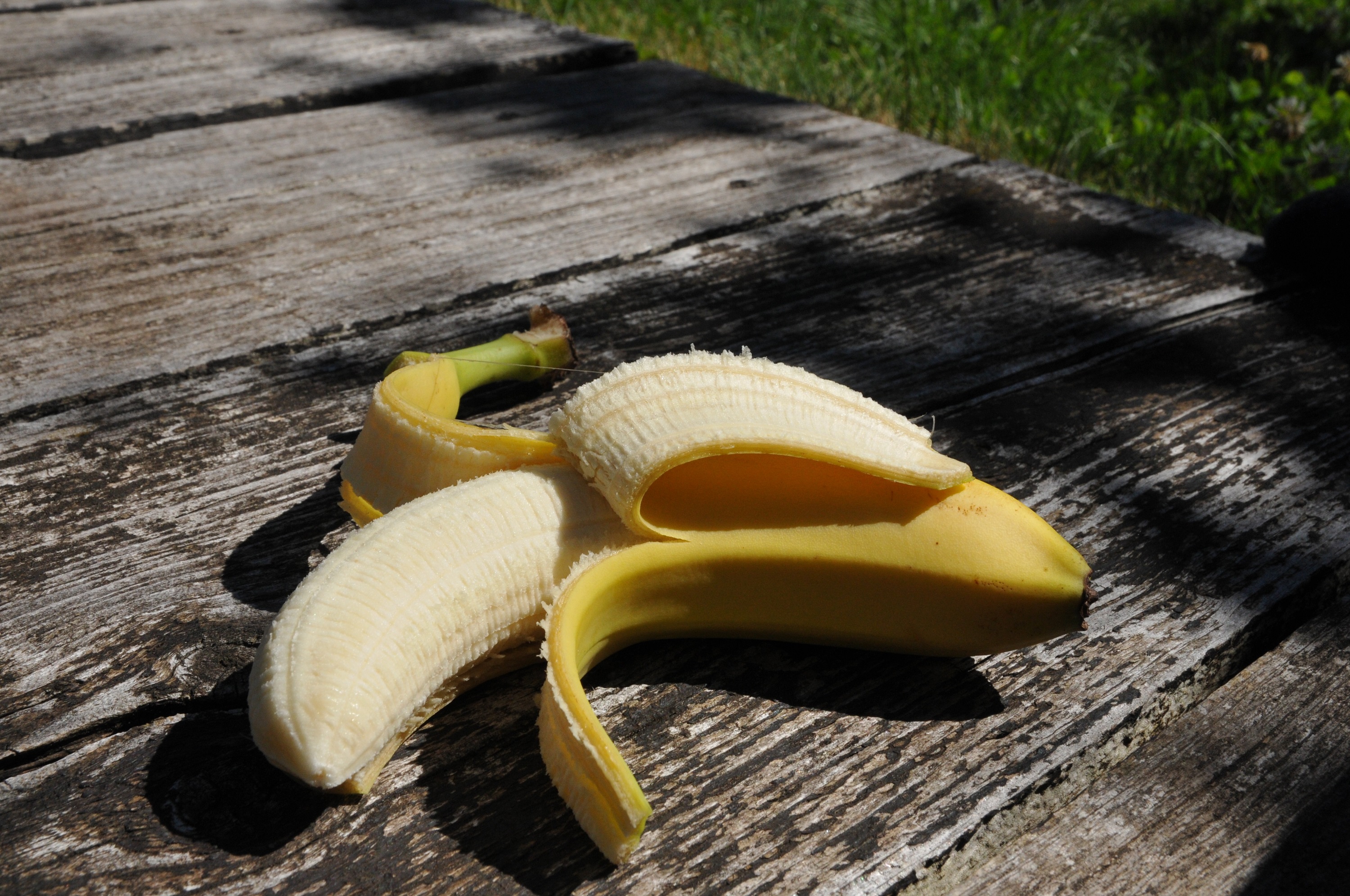 Bananen Anbau HHU