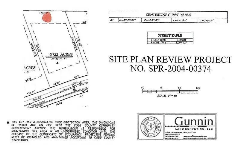 Where Are All The Trees? Before You Buy Here